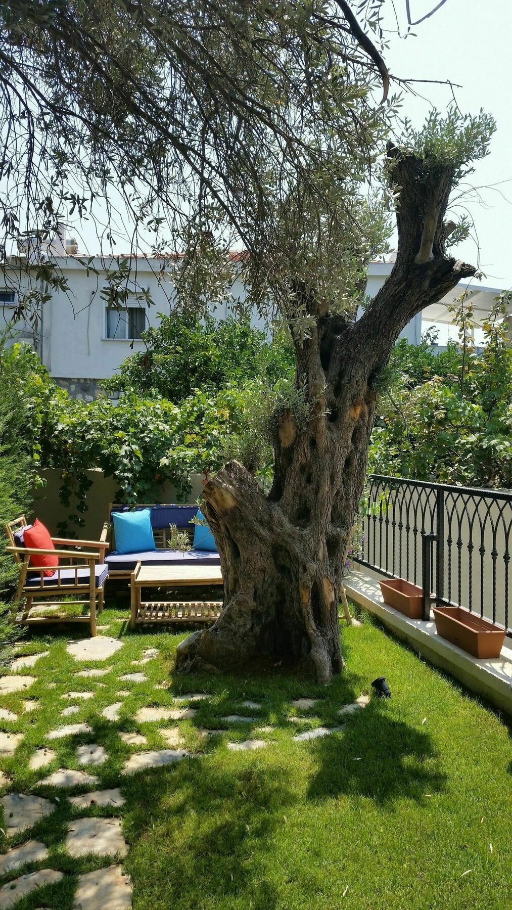 Cassiopeia Hotel Alaçatı Zewnętrze zdjęcie