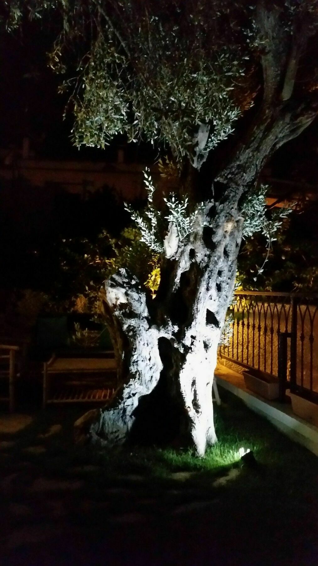 Cassiopeia Hotel Alaçatı Zewnętrze zdjęcie