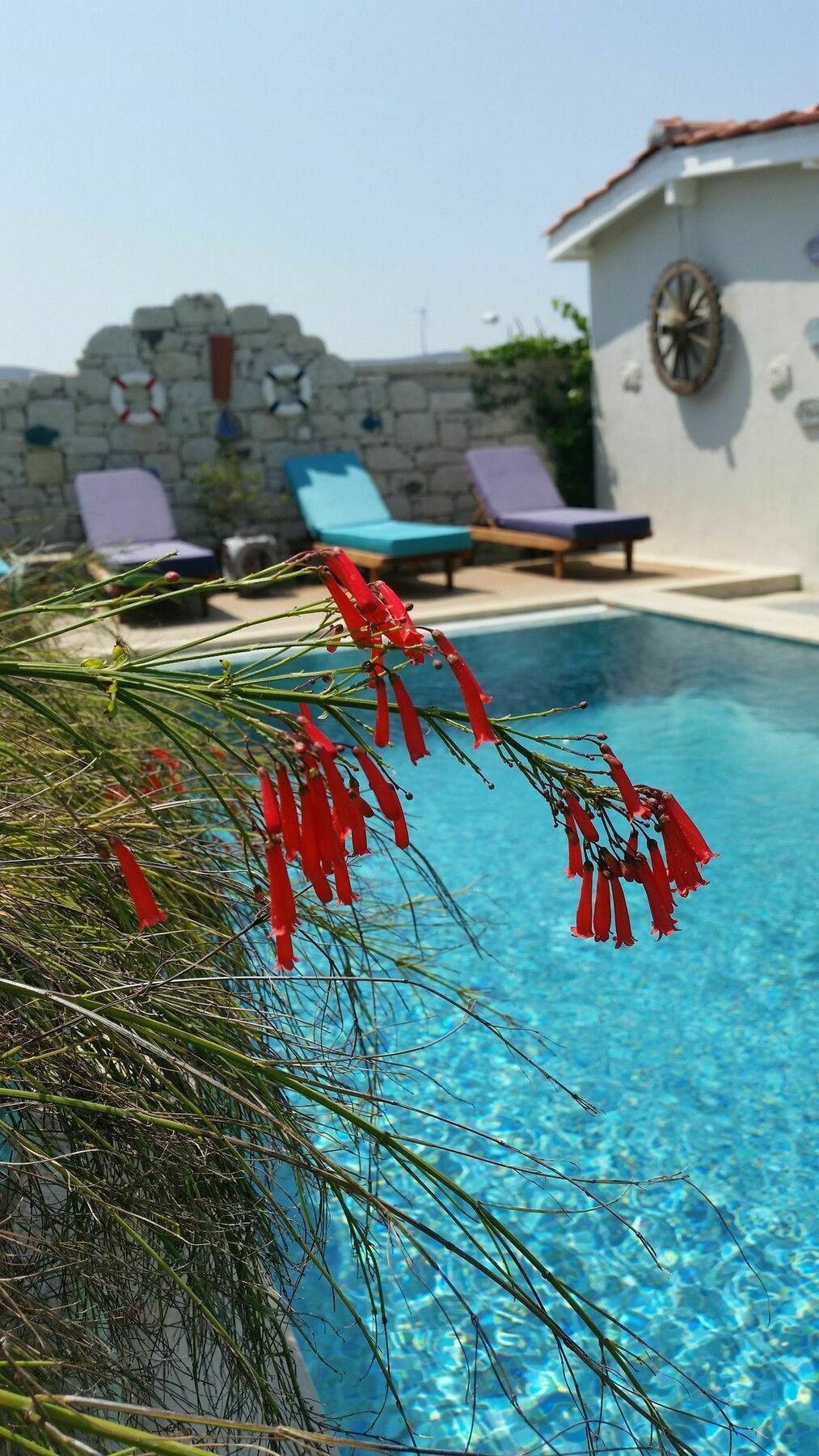 Cassiopeia Hotel Alaçatı Zewnętrze zdjęcie